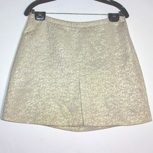 H&M Golden Beige Skirt-- SIZE 10 US